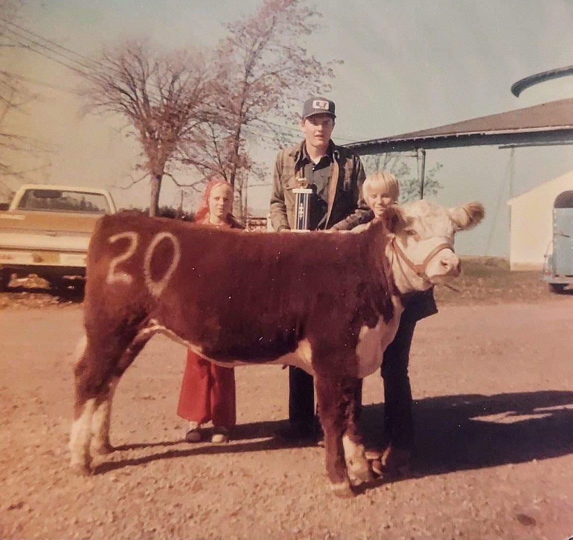 Polled Hereford Sale